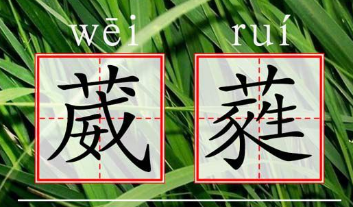 “葳蕤”的读音是什么?什么意思?