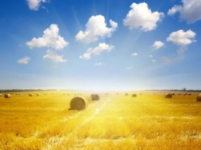 描写秋天的段落