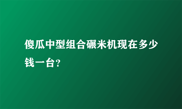 傻瓜中型组合碾米机现在多少钱一台?