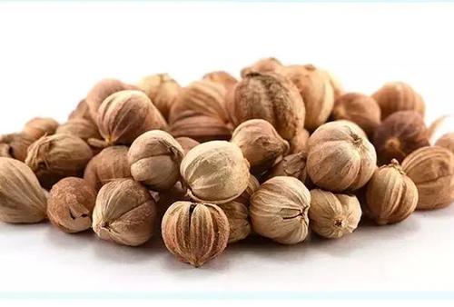 豆蔻的功效与作用是什么?