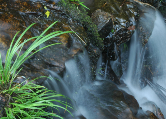 “源头活水”是什么意思?