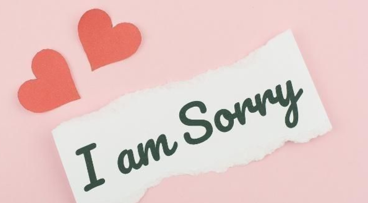 sorry是什么中文意思?