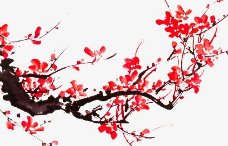 最经典的梅花诗是什么?