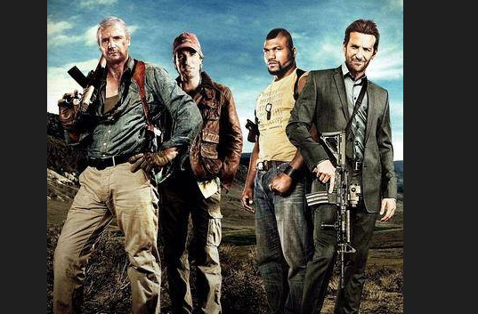 雇佣兵是干什么的?