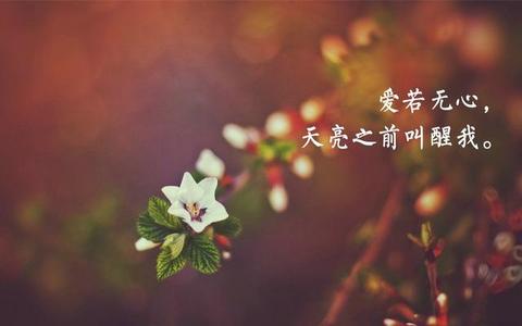 夜深了,人静了,为何你还不想睡?