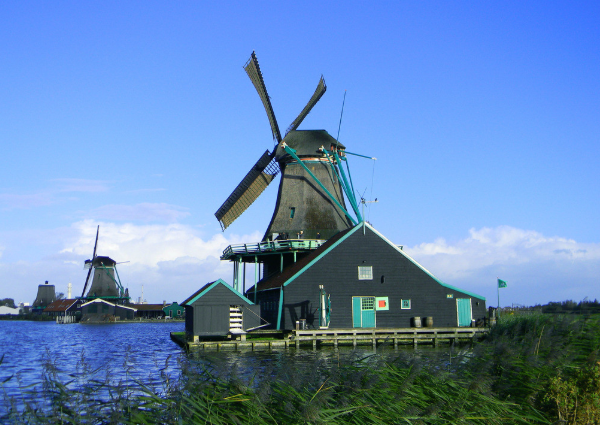 Dutch是什么意思?