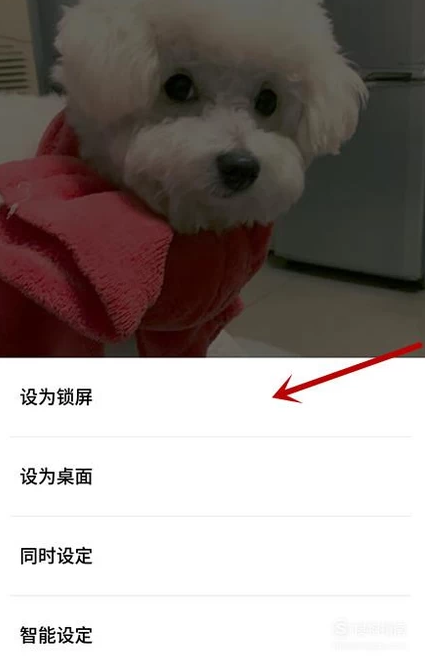 简单唯美的手机壁纸有哪些？