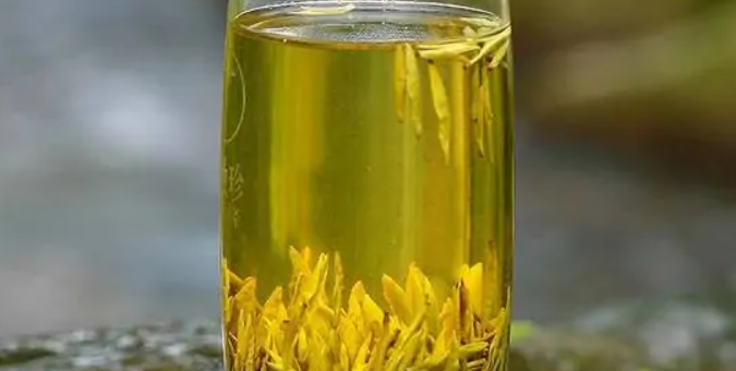 黄茶有哪些品种?