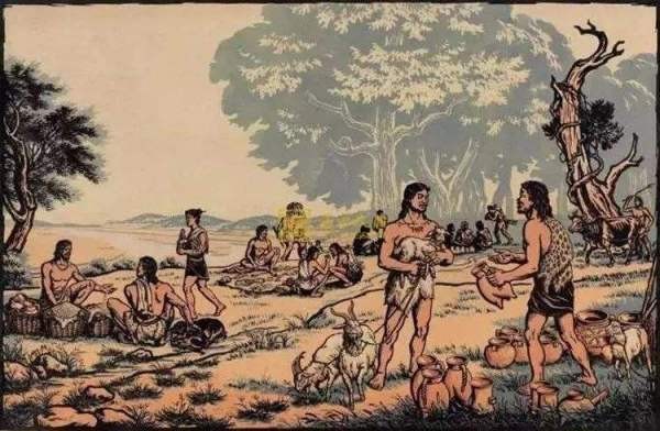 原始人使用的石器有哪些?