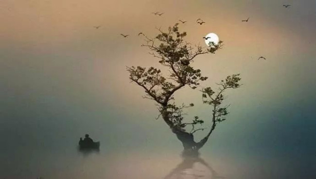 名字中的楠有啥寓意?