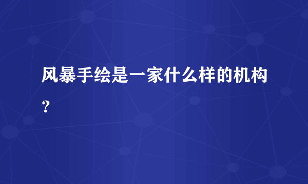 风暴手绘是一家什么样的机构？