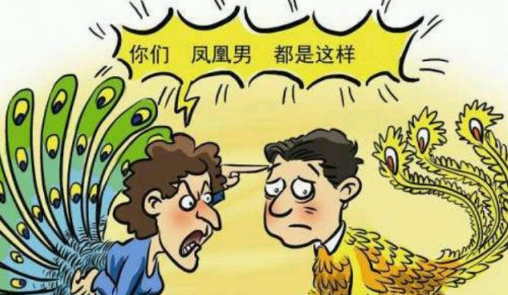 凤凰男是什么意思?