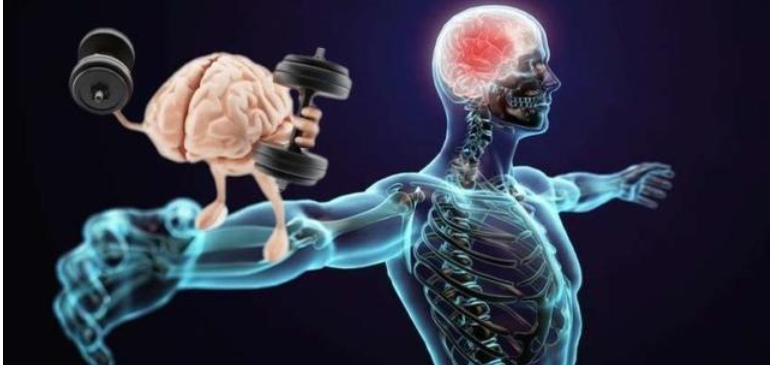 肌肉记忆是什么意思?