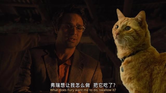 漫威系列电影《惊奇队长》的最后彩蛋噬元兽为什么抓弗瑞?