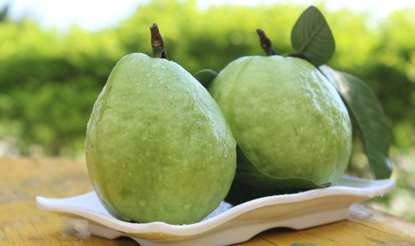 芭乐是什么意思?