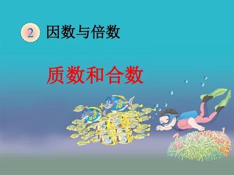 最小的合数是多少?