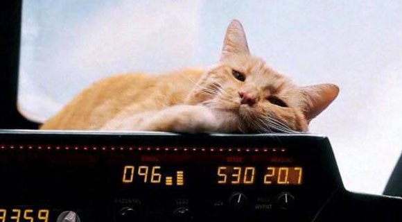 漫威系列电影《惊奇队长》的最后彩蛋噬元兽为什么抓弗瑞?