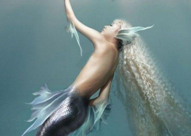 鲛人和美人鱼有什么区别?