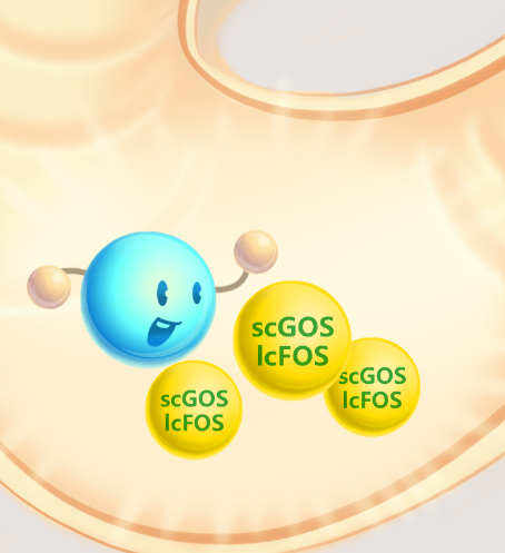 大家觉得荷兰牛栏奶粉怎么样?