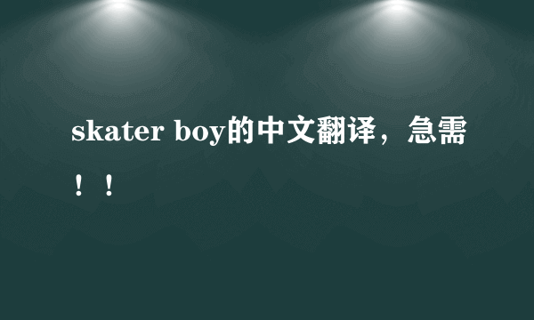 skater boy的中文翻译,急需!!