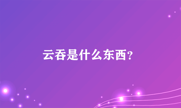云吞是什么东西?