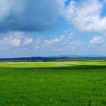 内蒙古四大草原都是哪些?