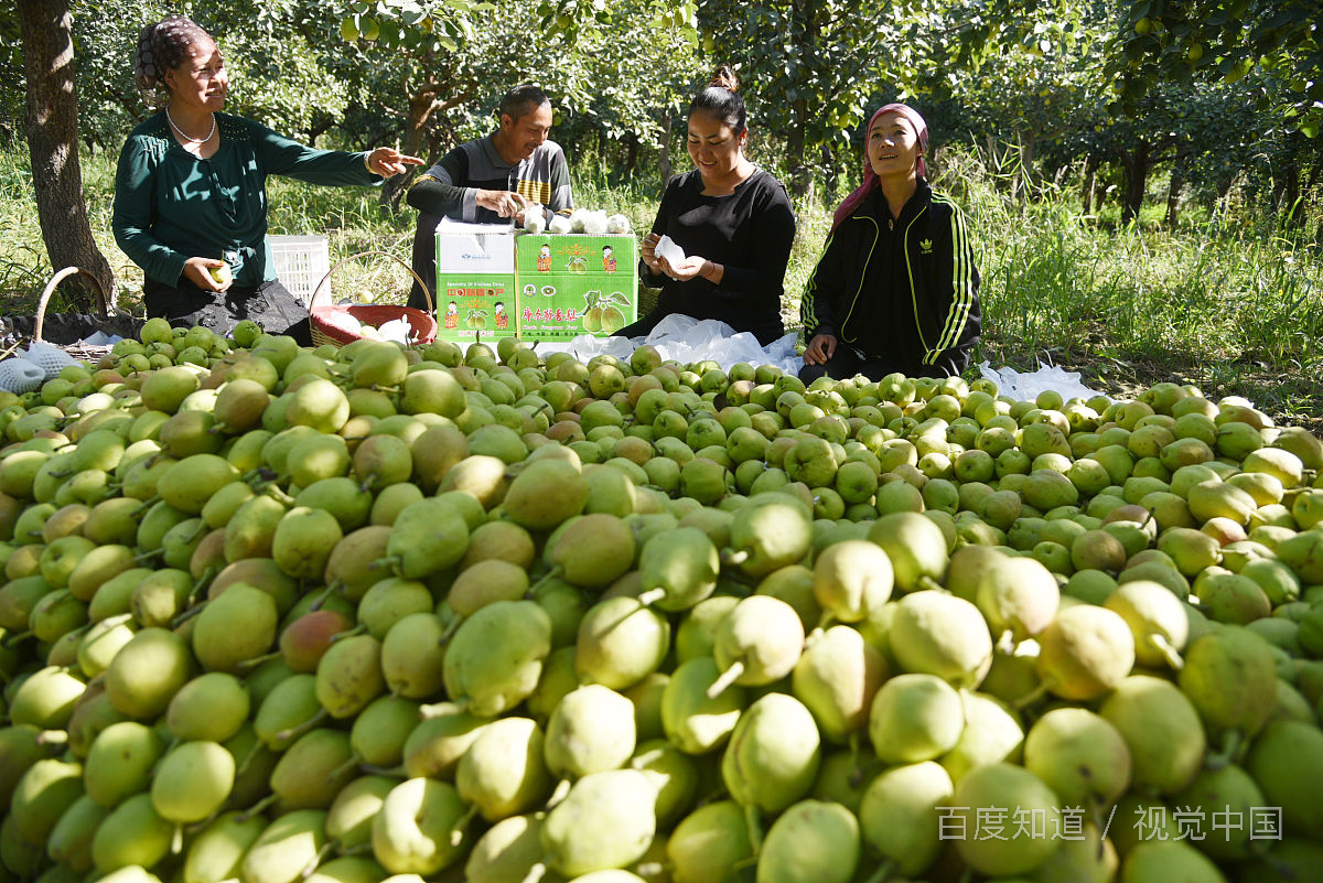 新疆有哪些特产?