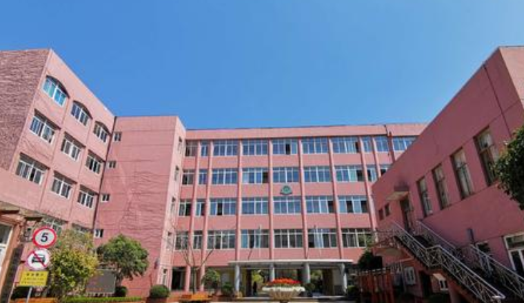 上海市杨思高级中学怎样?