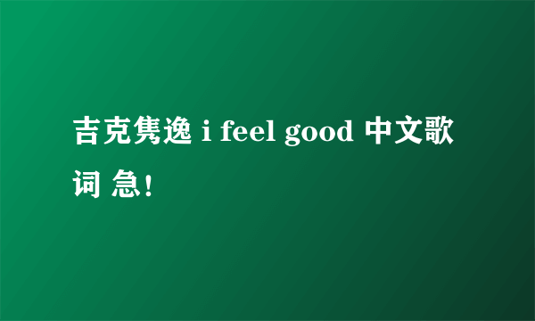 吉克隽逸 i feel good 中文歌词 急!