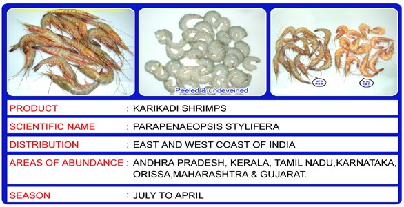 parapenaeopsis stylifera是什么虾