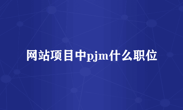 网站项目中pjm什么职位
