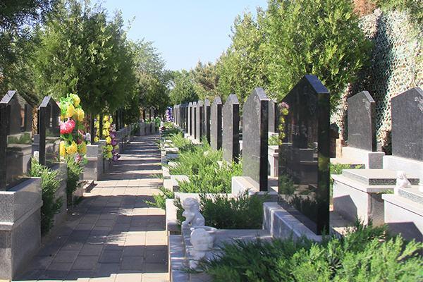 外媒报道,俄一墓地挖出5千万卢布巨款,到底是什么人埋到这里的?