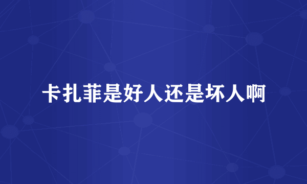 卡扎菲是好人还是坏人啊