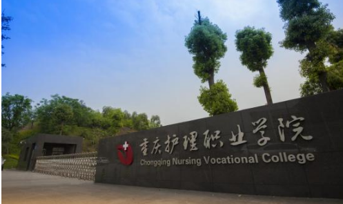 重庆市内的有医学类的专科学校有哪些呀?