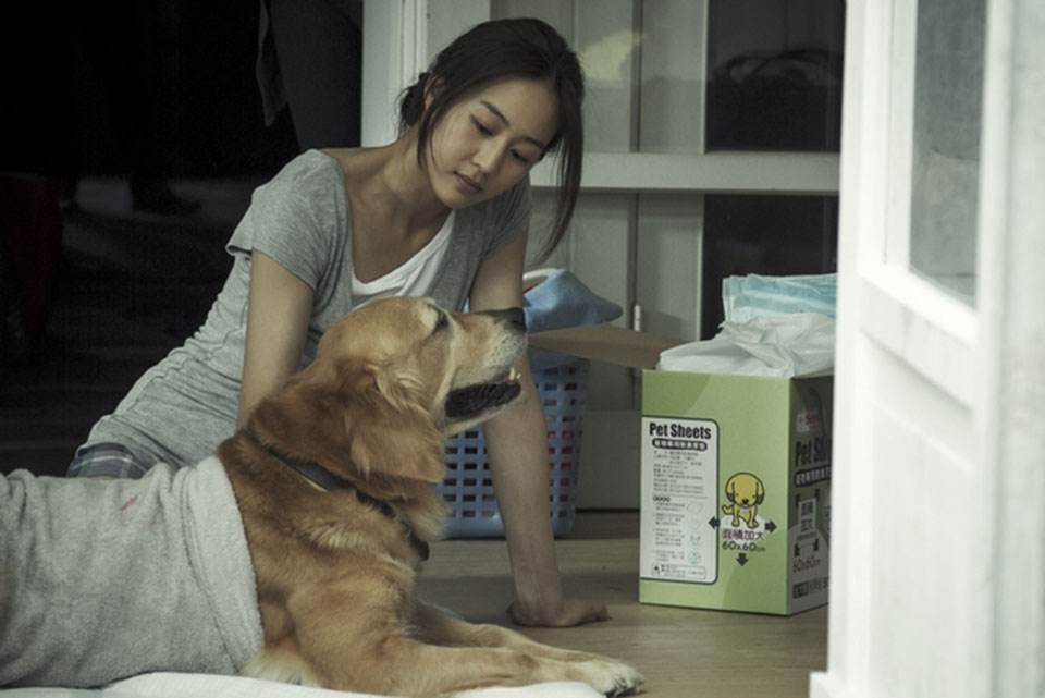 《我的男友和狗》什么叫做爱？