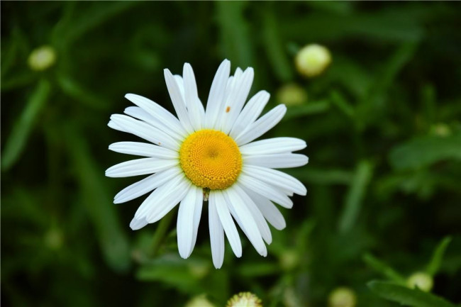 有痔疮不能吃什么食物?