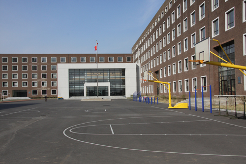 沈阳市绿岛学校怎么样?谁是是那的学生知道的告诉我一下