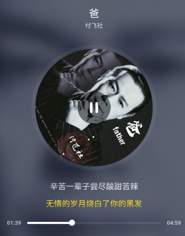 无情的岁月烧白了你的黑发是什么歌?