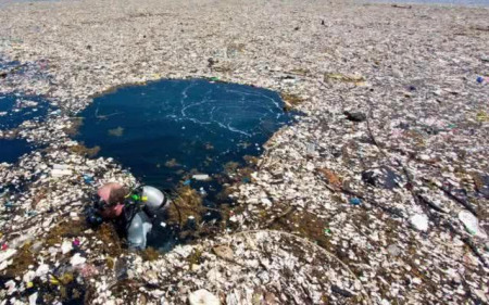 人类创造的“第八大陆”是什么?