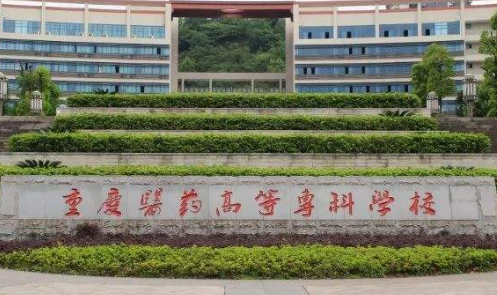 重庆市内的有医学类的专科学校有哪些呀?