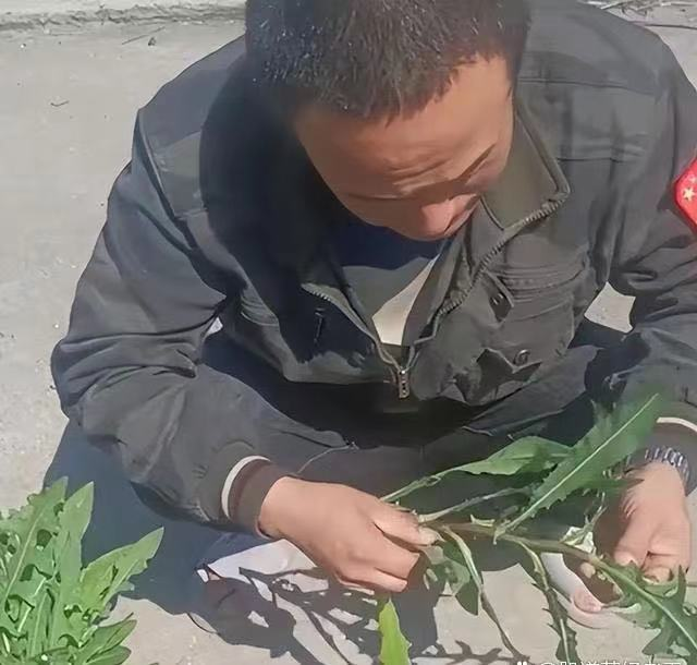 货车司机被困上海12天,靠吃土豆等着回家的日子,他们为何回不去?