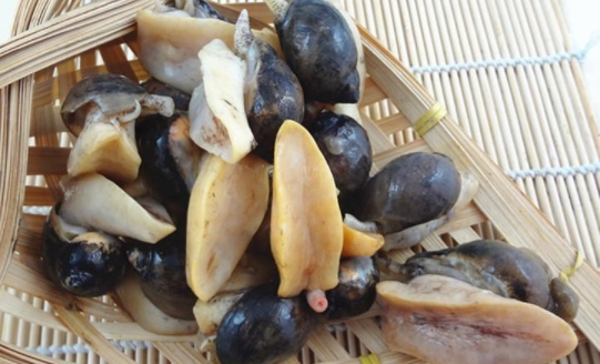 鲍螺的营养价值及功效分别是?