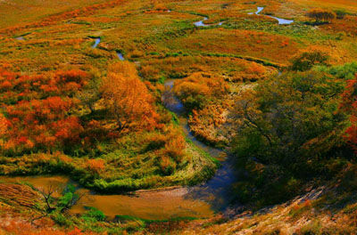 《静的艾敏河》到底想告诉我们什么呢？