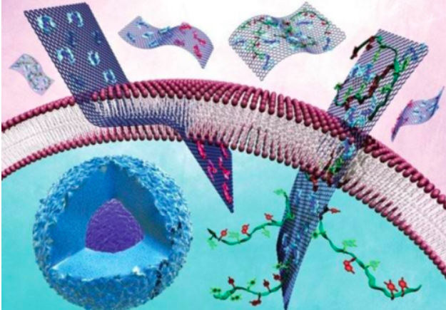 生物体内所有的膜都是生物膜吗