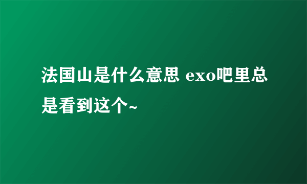 法国山是什么意思 exo吧里总是看到这个~