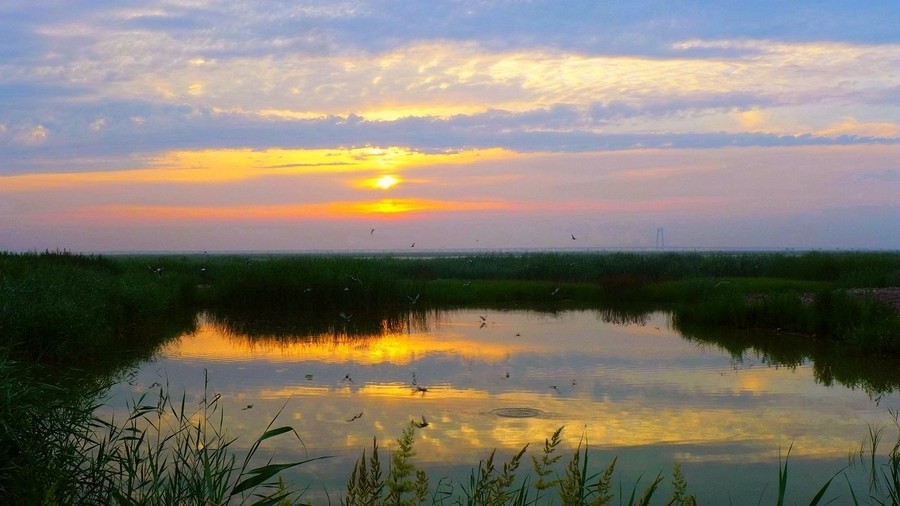 什么是湿地?中国湿地类型有哪些?