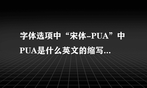 字体选项中“宋体-PUA”中PUA是什么英文的缩写还是拼音的缩写?什么意思呢?谢谢