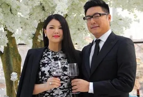 王岳伦与李湘名下26家企业被注销,这背后的原因是什么?