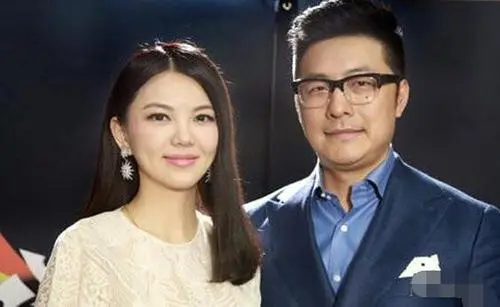 王岳伦与李湘名下26家企业被注销,这背后的原因是什么?