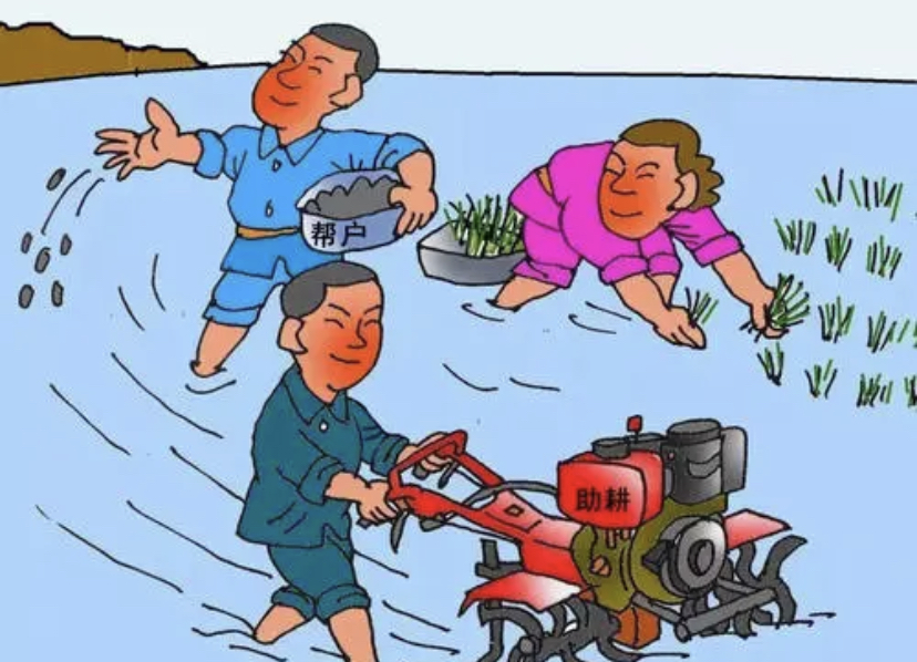 人民网是如何评价张同学走红这件事的?